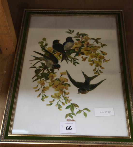 Signed picture oil on glass of birds
